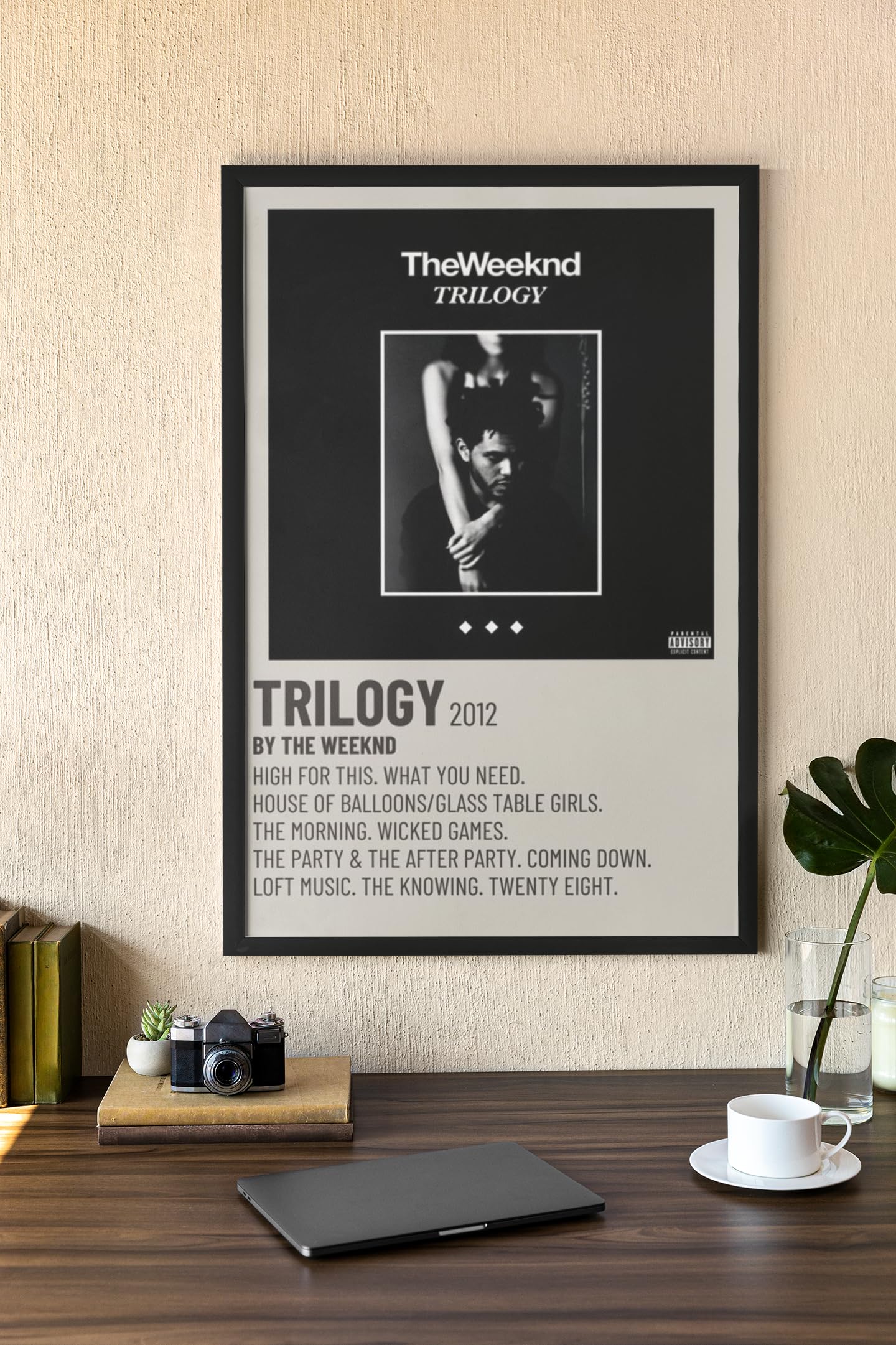 Framed Posters